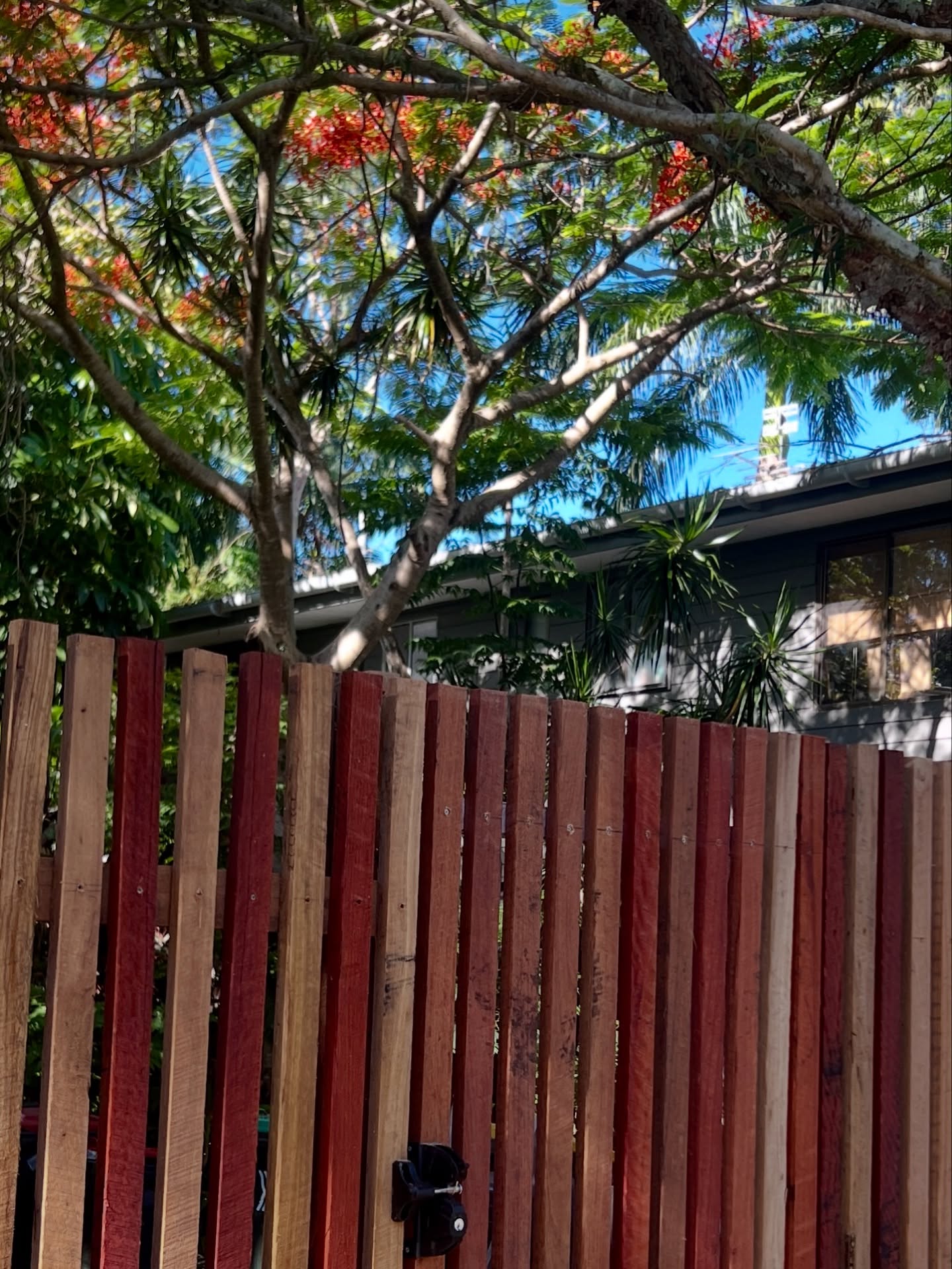 North Coast Property Maintenance recent work